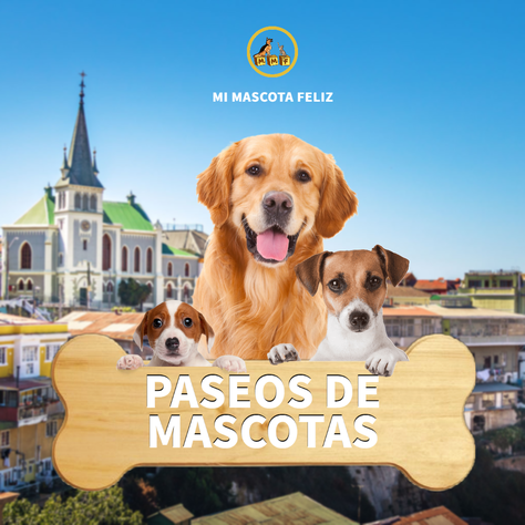 Plan Mensual 25 Paseos Para Mascota Cachorro-2