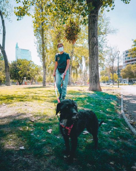 Plan Mensual 25 Paseos Para Mascota Cachorro-0