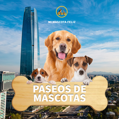 Plan Mensual 16 Paseos Para Mascota Adulto-2