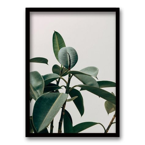 Cuadro Planta-0