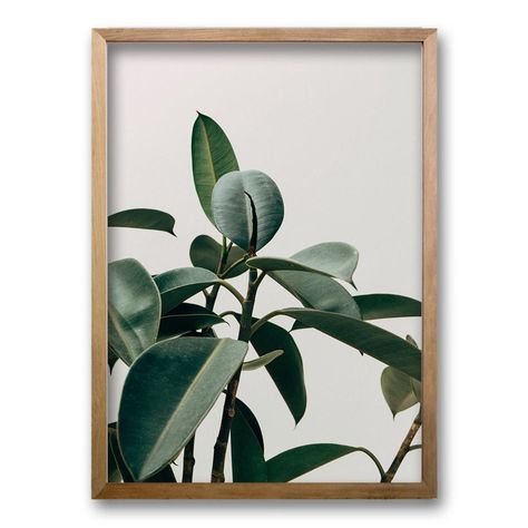 Cuadro Planta-1