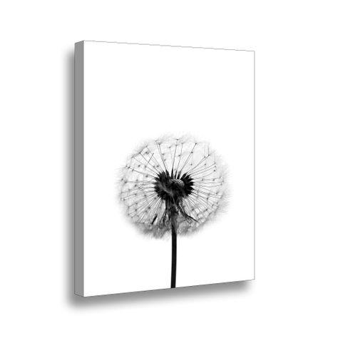 Canvas 70x50 cms Flor De Leon B-0