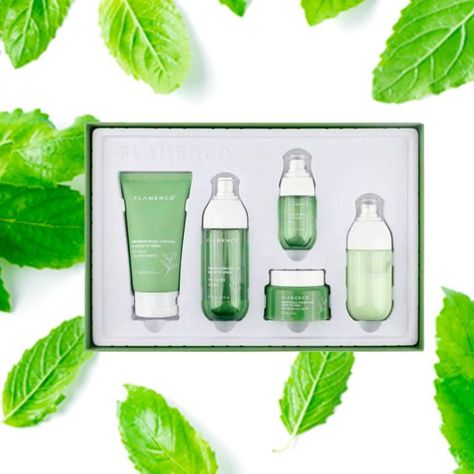 Kit Cuidado Facial Línea Té Verde Aceite Humectación Jhn-6
