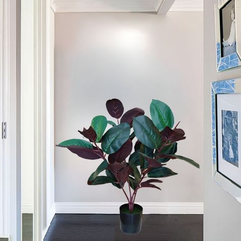 Planta Artificial Interior Ficus 75cm Decorativa Jhn-9