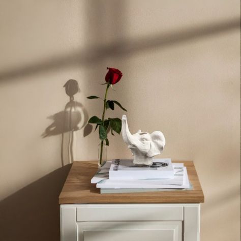 Maceta Cerámica Elefante Blanco Decoración Jhn-4