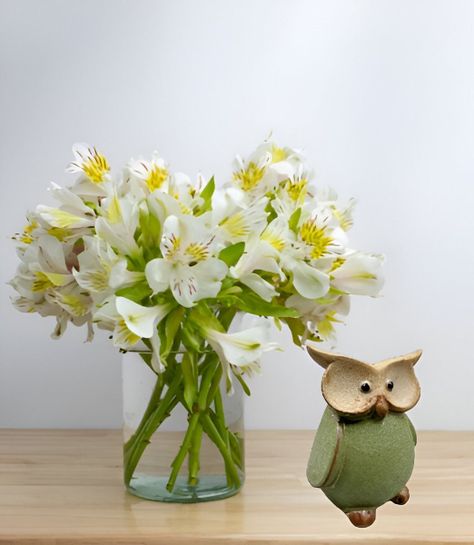 Set de 2 Estatua Búho Cerámica Decorativa Hogar Jhn-8