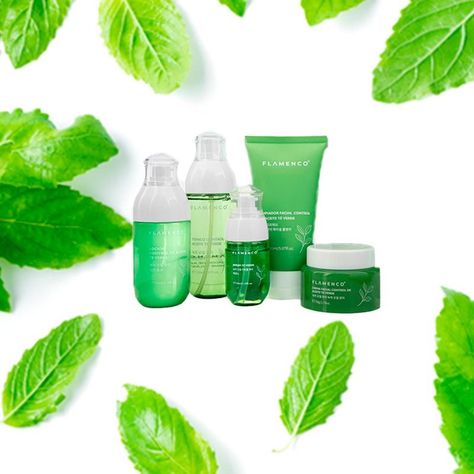 Kit Cuidado Facial Línea Té Verde Aceite Humectación Jhn-5
