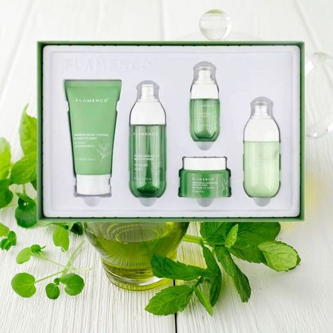 Kit Cuidado Facial Línea Té Verde Aceite Humectación Jhn-8