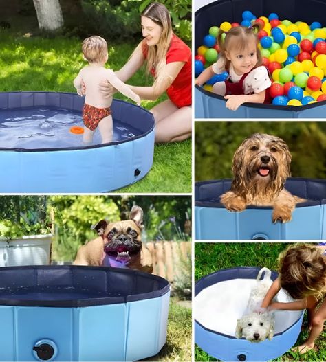 Piscina Pileta Plegable Para Mascotas Y Niños 120x30cm Jhn-4