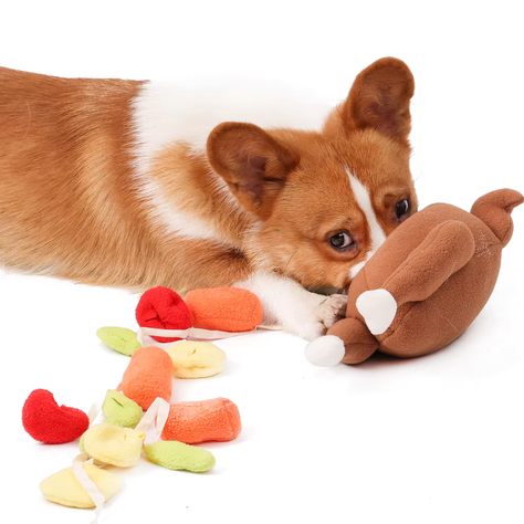 Juguete de peluche interactivo para mascotas – Pollo-2
