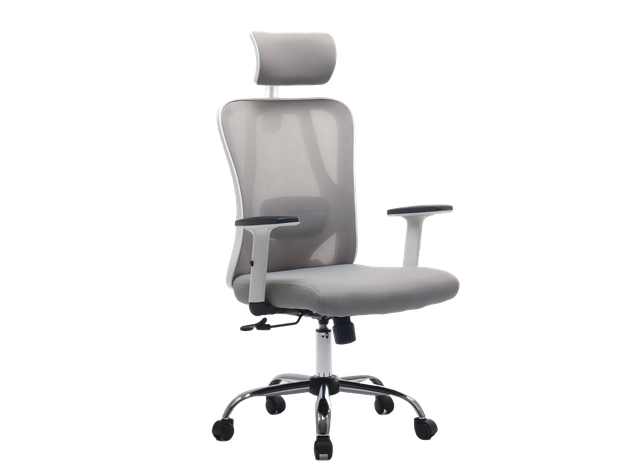 Silla De Oficina Ejecutiva Pro Con Apoya Brazos Ajustables Gris-0