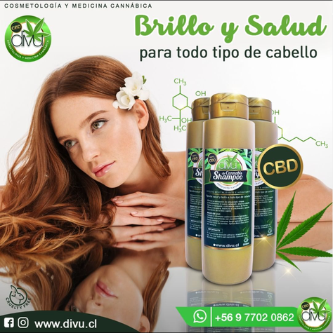 Shampoo de Cannabis 100% CBD-1