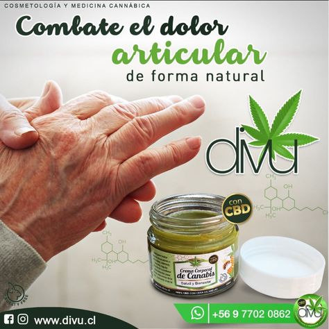 CREMA CBD + PANAL DE ABEJA + ACEITE DE OLIVA-2