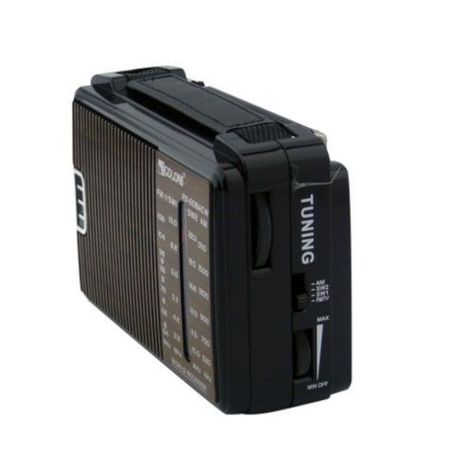 Radio FM y AM, 220V y portátil -1