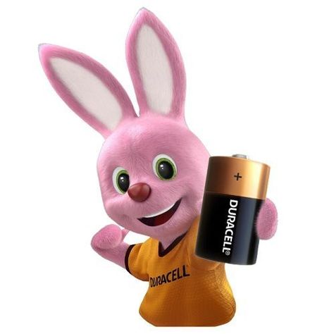 Pack 2 Pilas Duracell D-1