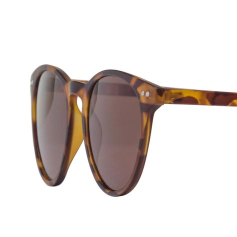 Anteojos de Sol LAKE TORTOISE BROWN-3