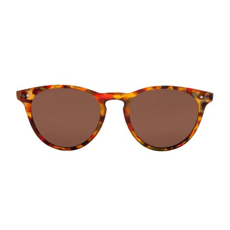Anteojos de Sol LAKE TORTOISE BLUE/BROWN-0