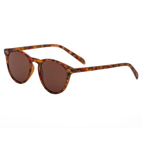 Anteojos de Sol LAKE TORTOISE BLUE/BROWN-1