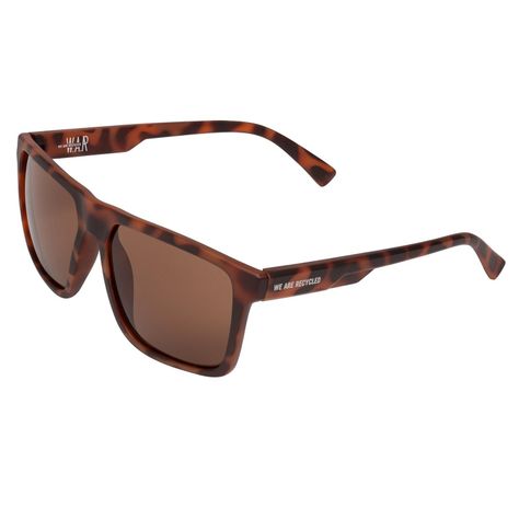 Anteojos de Sol SKY TORTOISE BROWN-1