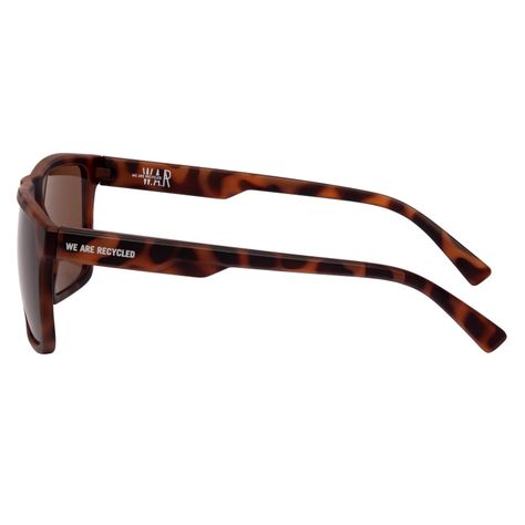 Anteojos de Sol SKY TORTOISE BROWN-2
