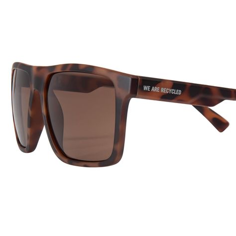 Anteojos de Sol SKY TORTOISE BROWN-3