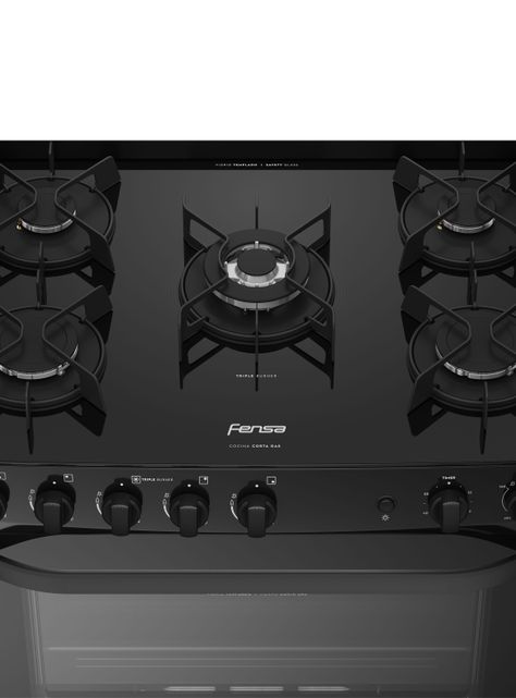 Cocina a Gas 5 Platos Fensa VaporBake F 6000 T-4