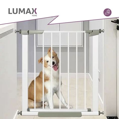 Reja Seguridad Escalera Puerta Bebe Mascotas-3