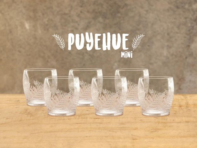 Puyehue Mini Juego de 6 Vasos-0