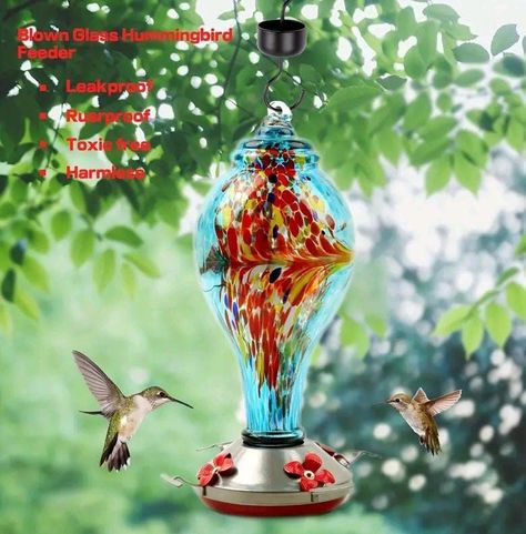  Bebedero y Comedero Para Colibríes Vidrio Soplado Exteriores1065 Ml-5