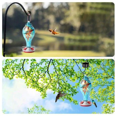  Bebedero y Comedero Para Colibríes Vidrio Soplado Exteriores1065 Ml-2