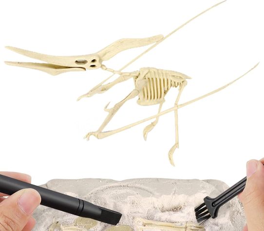Jurásico Animal Dinosaurio Esqueleto Fósil Set De 6 Pcs-3