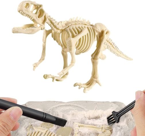 Jurásico Animal Dinosaurio Esqueleto Fósil Set De 6 Pcs-4