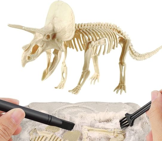 Jurásico Animal Dinosaurio Esqueleto Fósil Set De 6 Pcs-5