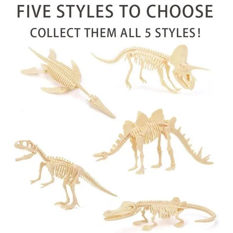 Jurásico Animal Dinosaurio Esqueleto Fósil Set De 5 Pcs-1