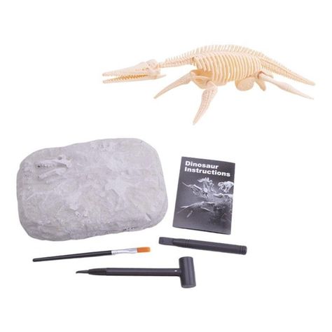 Jurásico Animal Dinosaurio Esqueleto Fósil Set De 5 Pcs-3