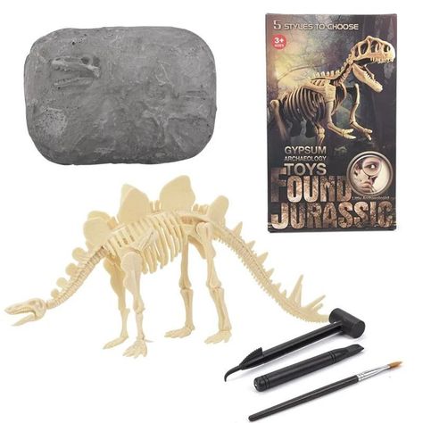 Jurásico Animal Dinosaurio Esqueleto Fósil Set De 5 Pcs-4