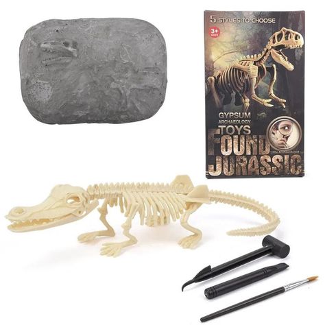 Jurásico Animal Dinosaurio Esqueleto Fósil Set De 5 Pcs-5