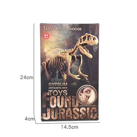Jurásico Animal Dinosaurio Esqueleto Fósil Set De 5 Pcs-6