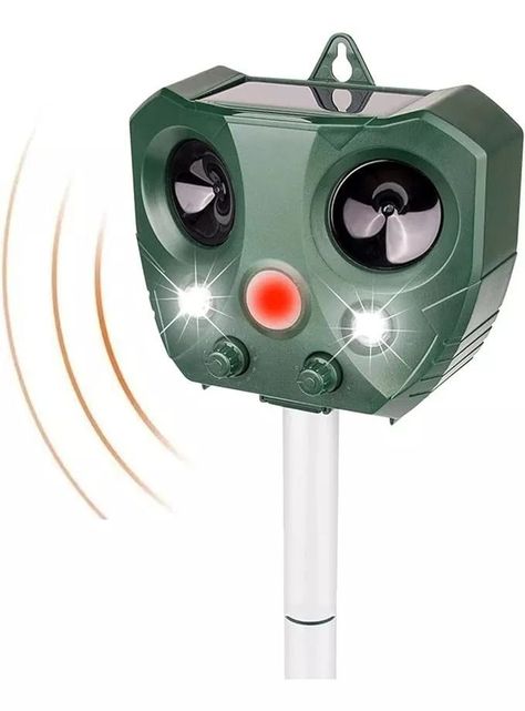  Insecto Y Animales Ultrasonido-0