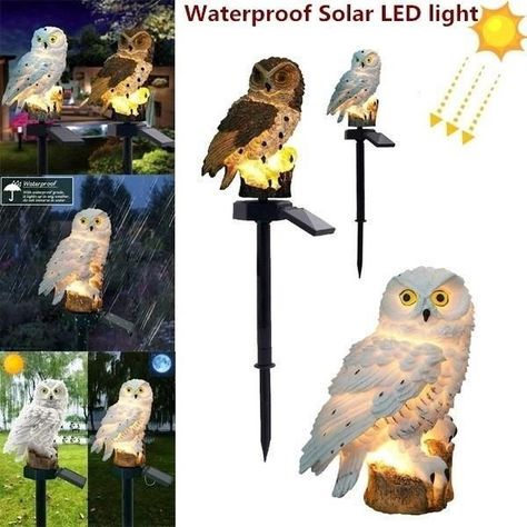 Lampara Solar Pack De 2 Unidades   Modelo Búho-4