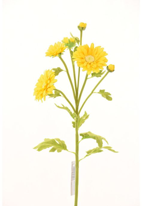 Margarita 66Cm Amarillo-0