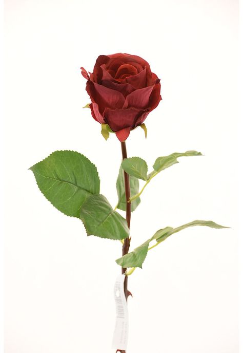 Rosa 54Cm Rojo-0