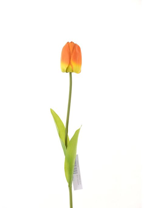 Tulipan 60Cm Rojo-0