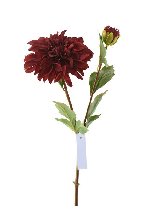 Amarylis 84Cm Rojo Italiano-0