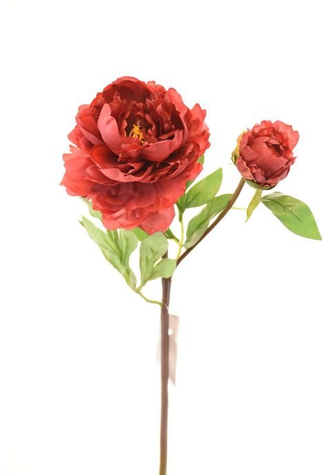 Peonia 54Cm Rosa Viejo-0