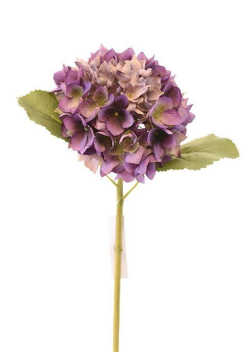 Hortensia 50Cm Morado-0