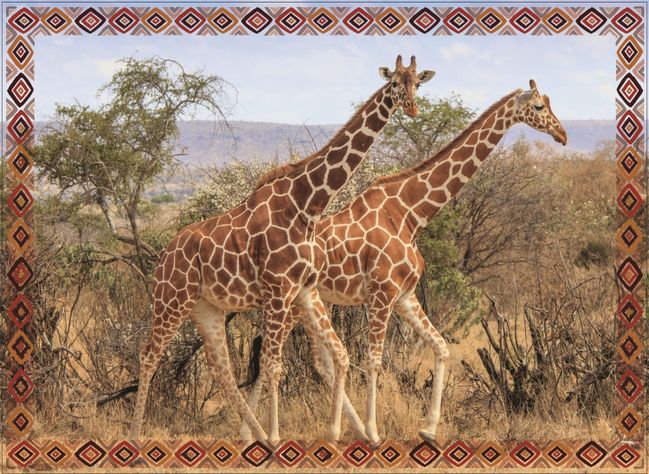 Puzzle 100 Jirafas-1