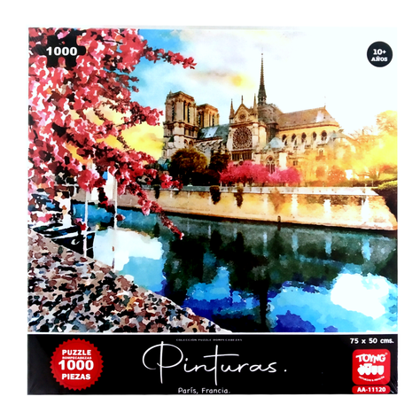 Puzzle 1000 Piezas Paris-0