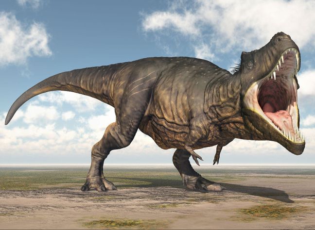 Puzzle 100 Piezas de Tyrannosaurus rex - Colección Jurasica-1