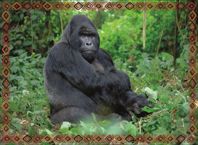 Puzzle 100 Gorila-1